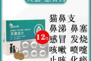小狗频繁打喷嚏，选择什么药物治疗效果好？（药物选择）