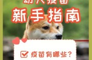 犬腺病毒2型康复时间解析（探寻犬腺病毒2型康复的重要因素和时间节点）