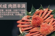 阿拉斯加喂肉时间的选择（适宜喂肉的时间点及方法）