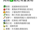 狗狗进食后多久可以遛？（遛狗时间的重要性及合适的等待时长）