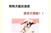 犬瘟病的症状及治疗（了解犬瘟病的主要症状，及时治疗你的宠物）
