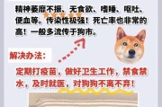 犬瘟热的症状和预防方法（了解犬瘟热的传染性及高死亡率，保护你的爱犬健康）