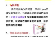 狗狗呕吐的原因及预防措施（揭开狗狗呕吐的神秘面纱，提供有效解决方案）