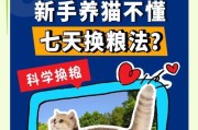 以猫换粮拉肚子多久？（了解猫咪换粮期间的消化调整）