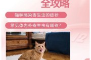 小猫咪体内驱虫，健康护航（了解小猫咪体内驱虫周期，掌握关键时期）