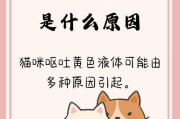 刚出生小猫的饮食之谜（从母乳到固体食物，照顾刚出生小猫的饮食需求）