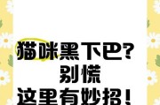 如何有效去除猫咪黑下巴？（掌握关键诀窍，让猫咪下巴回复亮丽光滑）