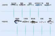 星点龙鱼的饲养方法（打造完美龙鱼水族箱，科学饲养三步曲）