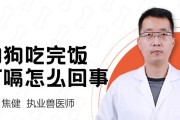 为什么我的狗狗总是打嗝？（了解狗狗打嗝的原因和解决方法）