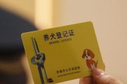 为迎接新成员，如何准备充分？（养狗前的准备工作和必备用品）
