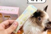 猫咪零食的正确喂养方式（让你的爱宠更健康的秘密）