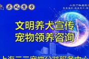 城市养宠物的益处与必备条件（为你的城市生活增添点乐趣与温暖）