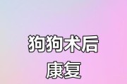 狗狗手术后的恢复时间及注意事项（了解手术后的恢复时间，让你的宠物康复更顺利）