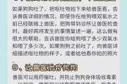 大狗食用驱虫药后会在多久时间内出现呕吐？（了解大狗服用驱虫药后的呕吐反应及应对方法）