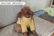 研究发现（揭秘神奇药物，重拾狗狗健康活力）
