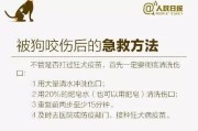 打了狗疫苗多久能检测？（了解狗疫苗的检测时间及关键信息）