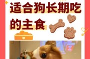 博美的饮食习惯与健康（了解博美的饮食需求，让它吃得健康快乐）