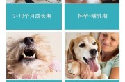 狗狗缺乏微量元素的合理补充方式（科学补充微量元素，保障狗狗健康）