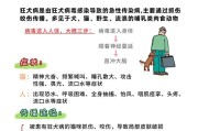 猫的常见疾病及预防措施（了解猫的病症和保护您的宠物健康）