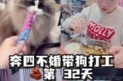 宠物生病花费过万，普通打工人应如何抉择？（经济压力下，如何平衡爱宠和财务？）