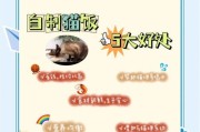 猫咪的排便时间规律（探究猫咪饭后排便的时间间隔及原因）