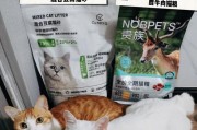 如何解决宠物猫猫吃猫砂问题？（探讨猫砂对猫咪健康的影响、有效防止猫咪吃猫砂的方法）