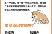 金毛犬拉稀的原因及解决办法（金毛狗拉稀了该怎么办）