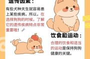 狗不喝水能活多久？（揭秘狗不喝水的真相及其对健康的影响）