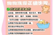 如何正确给狗狗洗澡护理（掌握正确的洗澡技巧，为你的狗狗带来健康与舒适）