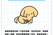 狗为什么喜欢舔人？（探索狗舔人行为的原因和意义）