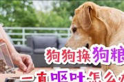 狗狗呕吐狗粮和血是怎么回事？（了解宠物呕吐的原因和处理方法）