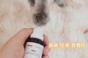 猫掉毛营养不良，如何解决？（掌握关键营养，让猫毛亮丽健康）