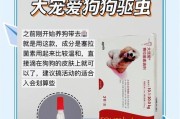 狗狗驱虫药的作用及使用注意事项（了解狗狗驱虫药的使用时间和效果，保护宠物健康）