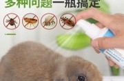 兔子为什么容易得螨虫？（探究兔子身体特点与环境因素的关系）