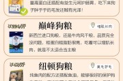 狗狗的饮食之道（除了狗粮，你还可以给狗狗喂点什么？）