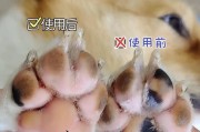 犬鼻子干燥的药物治疗方法（缓解犬鼻子干燥，让你的宠物舒服呼吸）