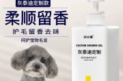 泰迪小狗洗澡的最佳频率（探讨泰迪小狗洗澡的时间间隔及注意事项）
