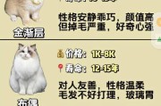 宠物猫的标准体重及判断是否超重（了解常见宠物猫的标准体重，判断你家猫是否超重）