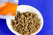 猫猫怀孕了要吃什么药？（了解猫猫怀孕期间的合适药物和饮食，给予正确的护理）