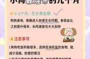 小狗喂养指南（了解小狗喝羊奶粉的最佳时机和正确方法）