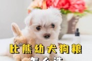 以比熊喂什么狗粮？（为你的比熊选择合适的狗粮是关键）
