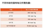小猫的饮食习惯（揭秘小猫每天进食的时间间隔）