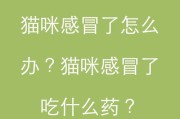 猫咪拉稀怎么办？药物治疗的选择与注意事项（猫咪拉稀原因及常用药物解析，保护猫咪肠胃健康的方法）