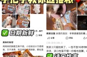 一月龄小猫能否食用猫粮？饲养技巧揭秘！（小猫的饮食需求及饲养技巧探讨）