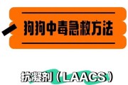狗吃了耗子药多久会发作？（了解狗吃了耗子药后的发作时间以及应对之策）