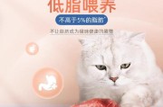 猫猫的健康饮食选择——罐头是首选（为什么猫猫应该以罐头为主要食物？）