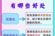 比熊的微量元素补充指南（打造健康活力的比熊宠物生活）
