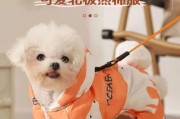 冬天如何给泰迪犬保暖？（泰迪感受到寒冷会有什么表现？）