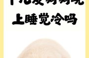 金毛幼犬的睡眠时长究竟有多长？（揭秘金毛幼犬的“睡美人”之谜）