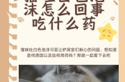 猫咪幼崽的适宜饮食（探索3个月猫咪幼崽最佳饮食方案）